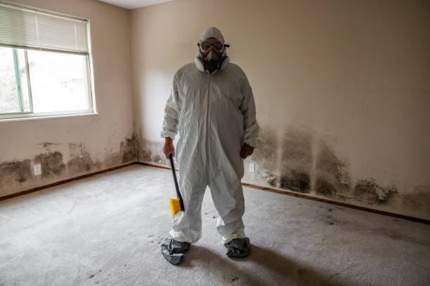 Best Crawl Space Mold Removal  in Howey In The Hills, FL